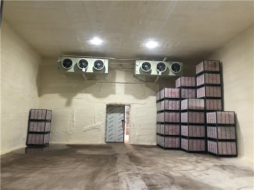荣耀体育官方站网页版
苹果冷库安装案例